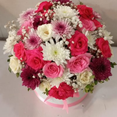 IMG-20250418-WA0081
