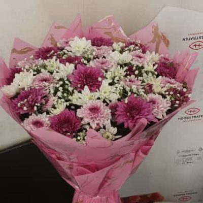 IMG-20250519-WA0061
